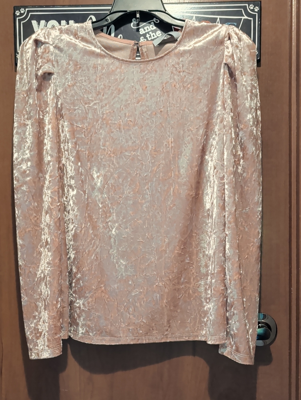 Greylin Blush Pink Velvet Long-Sleeve Blouse